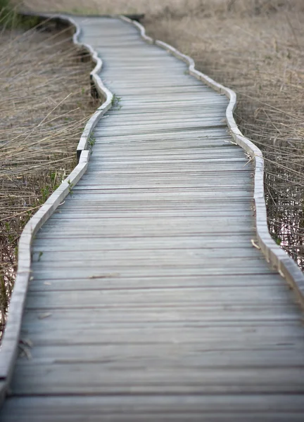 Dřevěný chodník — Stock fotografie