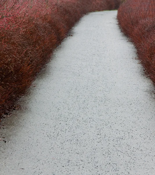 Walking path in autumn — Stock Photo, Image