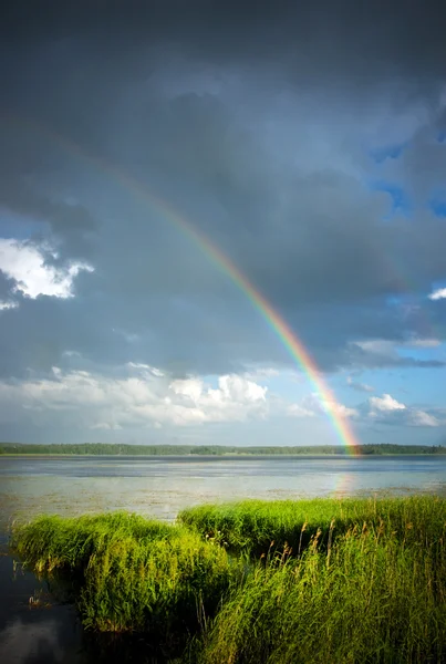 Rainbow — Stock Photo, Image