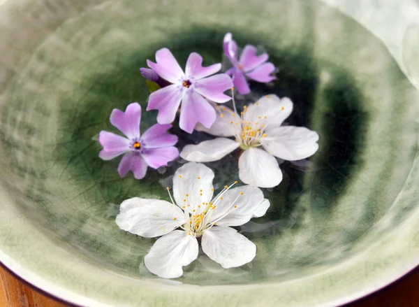 Цветы на тарелке — стоковое фото