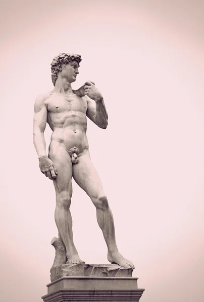 stock image Statue of David