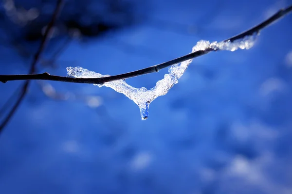 Icicle in early spring — Stock Photo, Image
