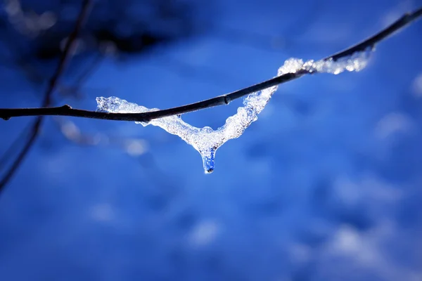 Icicle a principios de primavera — Foto de Stock