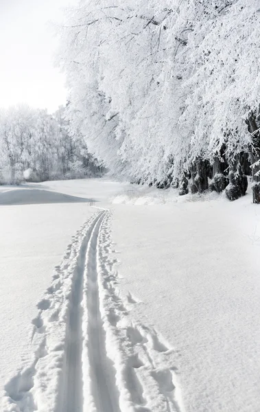 stock image Cross country ski track