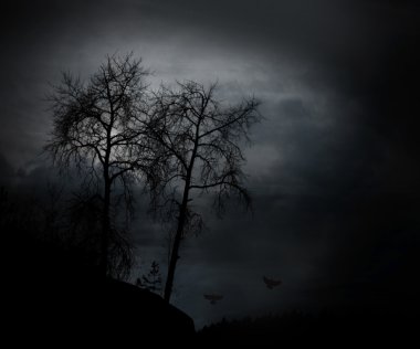 Spooky bare trees clipart