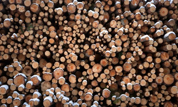 Log heap — Stock Photo, Image