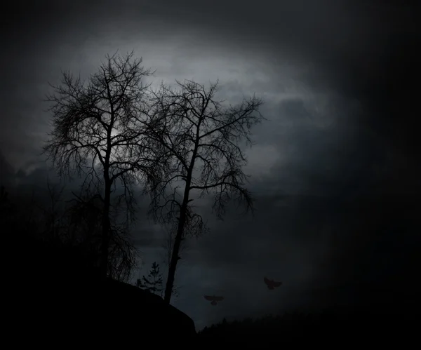 Spooky çıplak ağaçlar — Stok fotoğraf