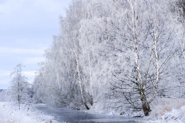 Rivier met bomen in de winter — Stockfoto