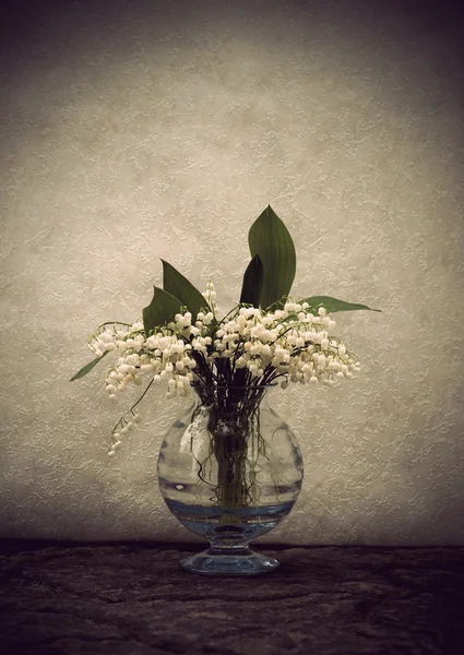 Lily vadi ile natürmort — Stok fotoğraf