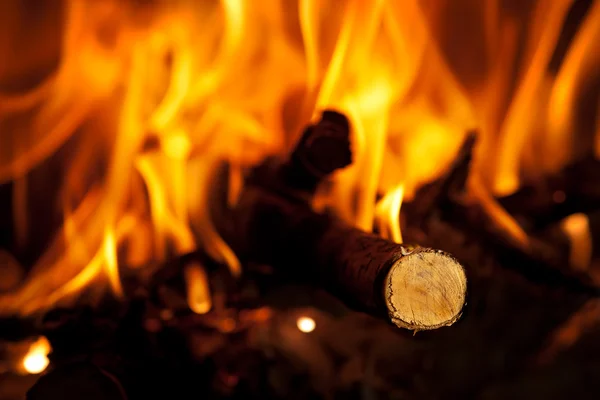 Log in flames — Stock Photo, Image