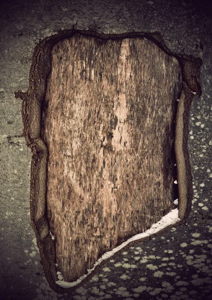 Τραυματίες δέντρο — Φωτογραφία Αρχείου