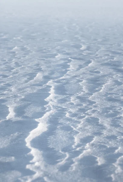 Snow background — Stock Photo, Image