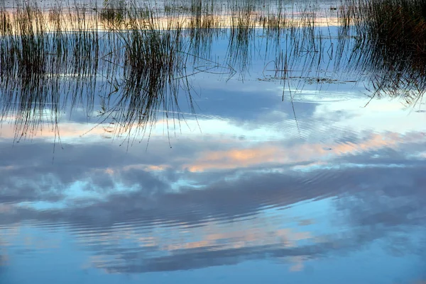 Lake with reeds — Stock Photo, Image