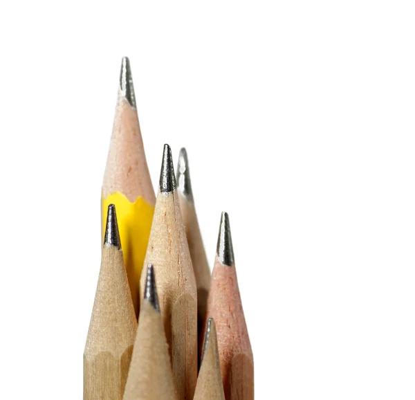 Bunnch of pencils — Stock Photo, Image