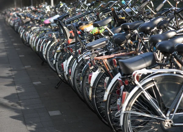 Fila di biciclette parcheggiate — Foto Stock