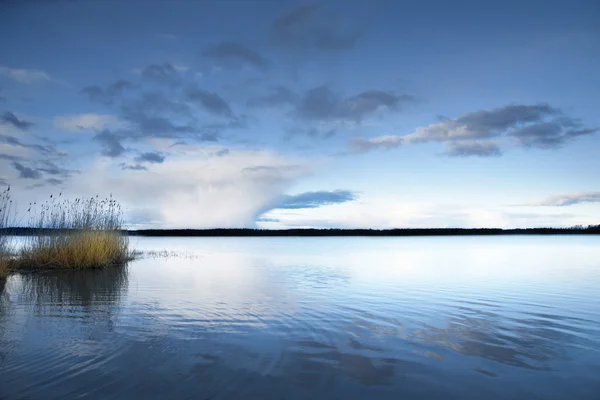 Озеро з очерету — стокове фото