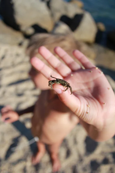 Rapaz segurando pequeno caranguejo — Fotografia de Stock