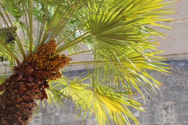 Cagliari, Sardunya, İtalya