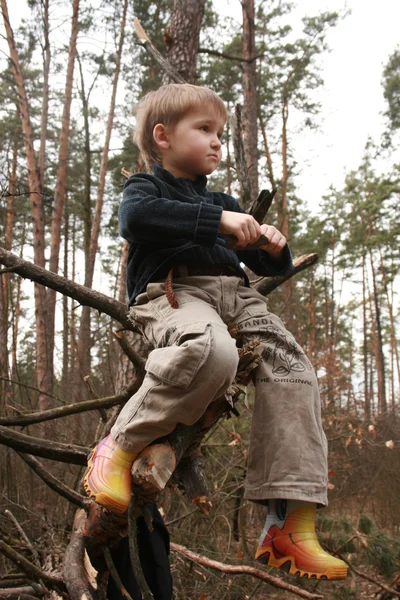 若い男の子かツリーを屋外で子供の肖像画 — ストック写真