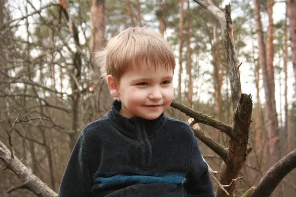 Portrait de jeune garçon ou enfant en plein air dans un arbre — Photo
