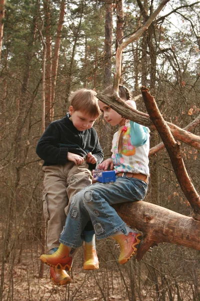 Crianças brincam fora em uma floresta — Fotografia de Stock