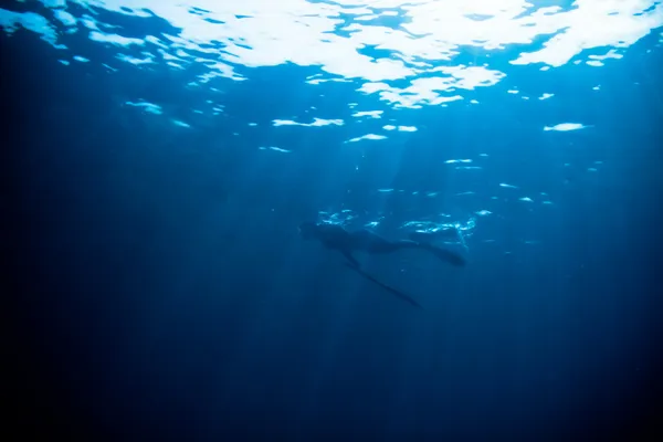 青い水ヤスでの漁 — ストック写真