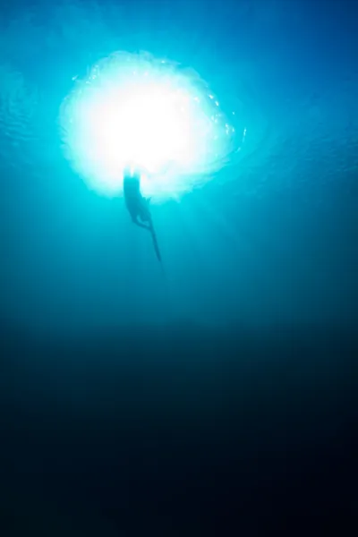 ヤスでの漁のダイビング — ストック写真