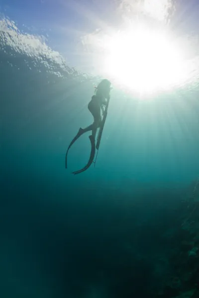 Spearfishing on the reef — Stock Photo, Image