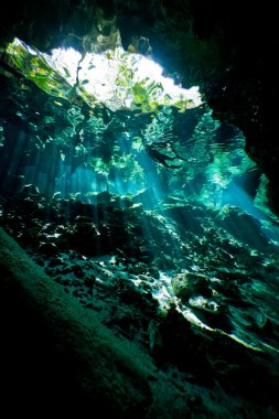 Deep inside the cenote clipart