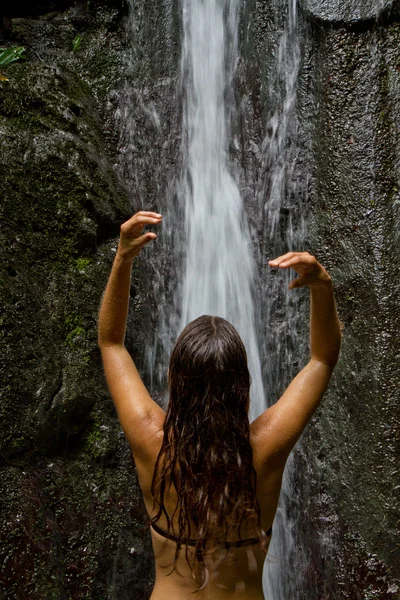 Stock image Waterfall shower