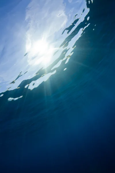 Underwater background — Stock Photo, Image