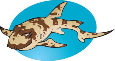 Cartoon Bamboo shark clipart