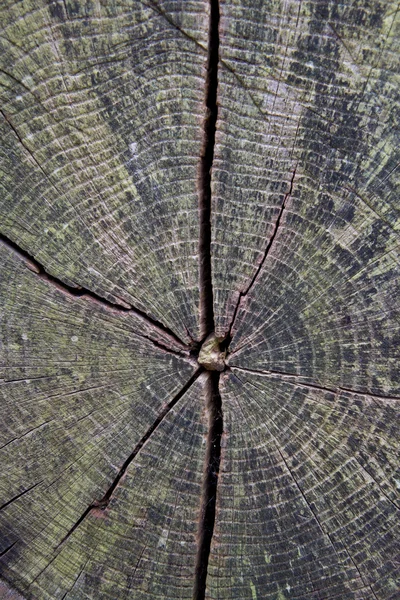 Struttura della venatura del legno incrinato — Foto Stock