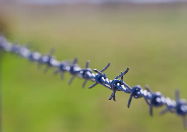 Barbed Wire fence — Stock Photo, Image