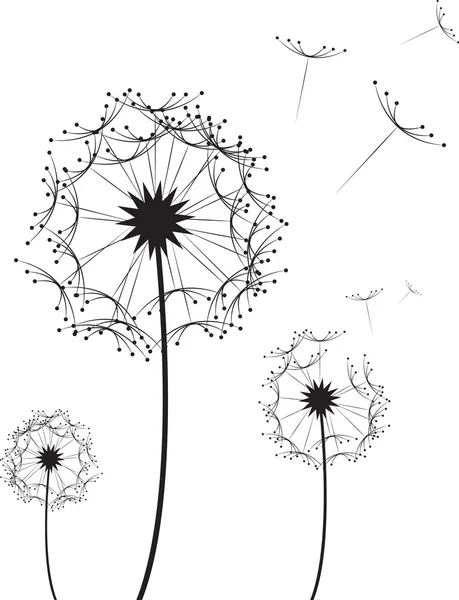Fleur de pissenlit — Image vectorielle
