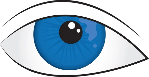 Oční bulva — Stockový vektor