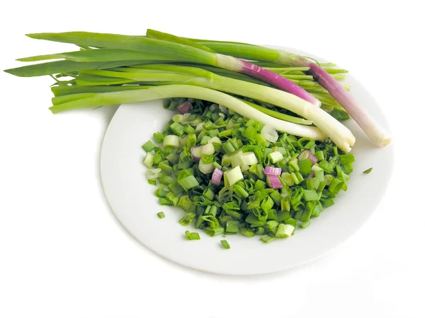 Cebolinha de primavera adiantada de salada — Fotografia de Stock