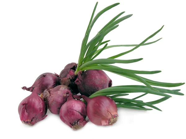 Red onions with green fresh leaves — Stock Photo, Image