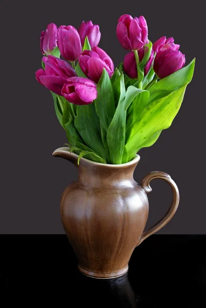 Lila tulpen in keramische bruin werper — Stockfoto