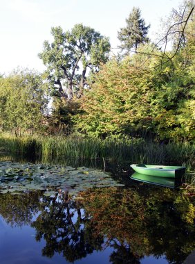 Yalnız küçük yeşil pond teknede