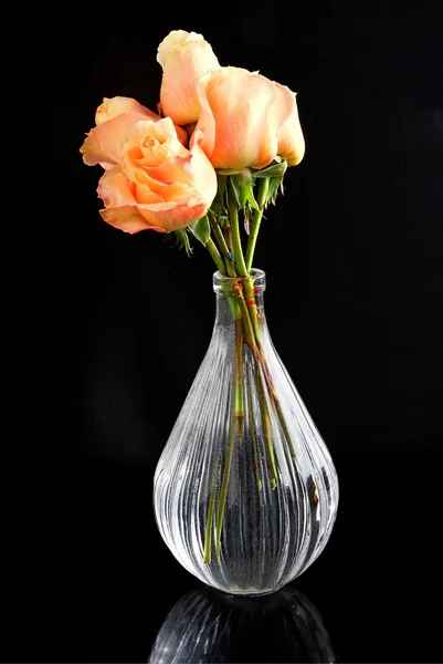 Rosas cor de rosa em cera de vidro — Fotografia de Stock