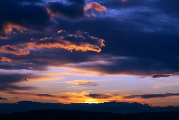 stock image Multicolor sunset