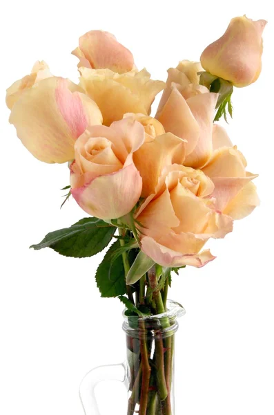 Posy van roze rozen — Stockfoto