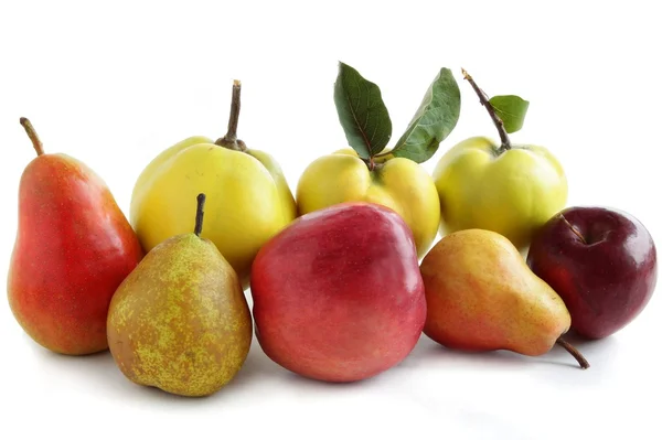 Varias frutas multicolores —  Fotos de Stock