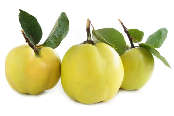 Yellow,sour,hard,quince — Stock Photo, Image