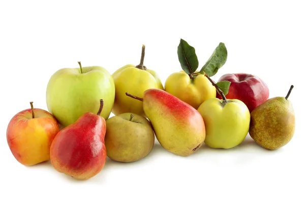 Verschiedene mehrfarbige Früchte — Stockfoto
