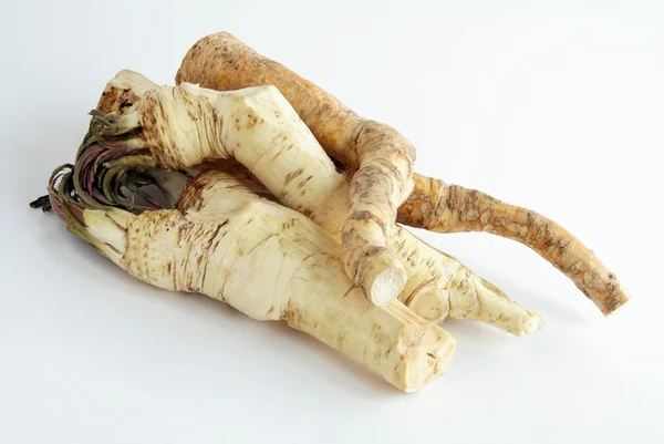 Roots of horseradish — Stock Photo, Image