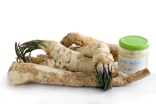 Horseradish roots as spicy condiment for food — Stock Photo, Image
