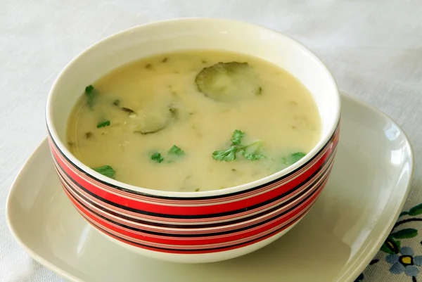 夕食のための酸っぱいきゅうりスープ — ストック写真