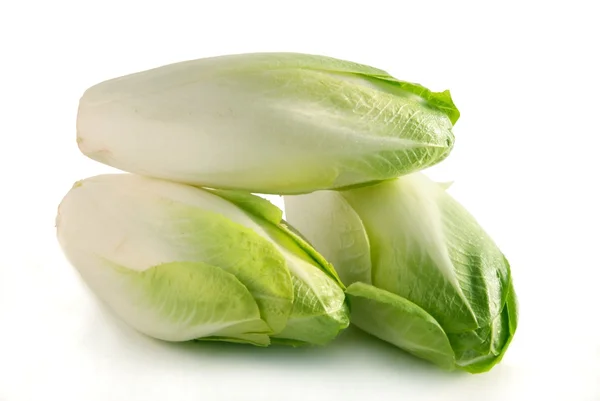 Witte en groene endivia voor salade — Stockfoto